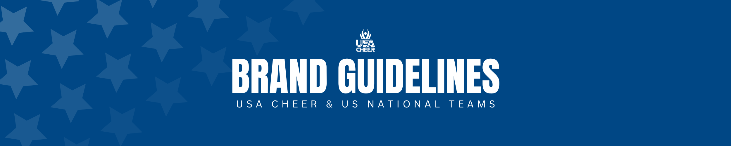 BRAND GUIDELINES BANNER