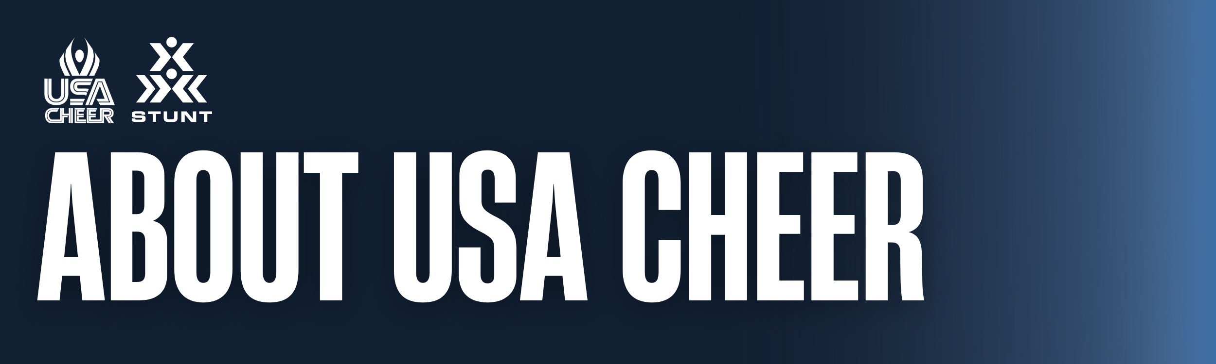 USA Cheer About